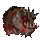 Rotting Canine Head