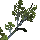 item_2032.png