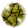 Chromatic Essence