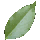 Cinquefoil