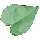 Methysticum