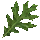 Tainted Larkspur