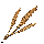 Taelosian Wheat