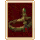 Dirulia Insignia